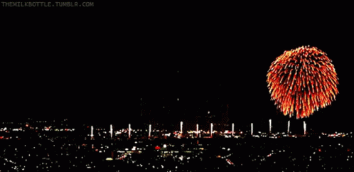 Bastille Day Fireworks GIF
