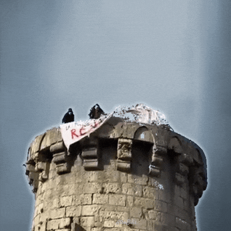 Bastille Day Revolution GIF