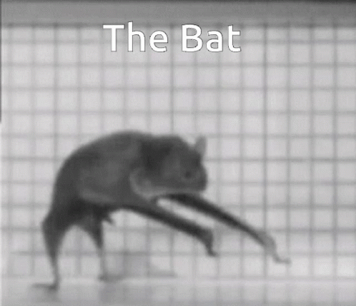 Black Bat Crawling Feet Like Digits GIF