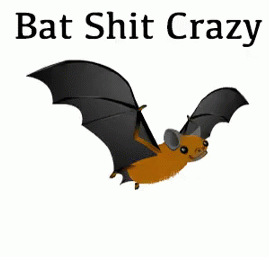 Bat GIF