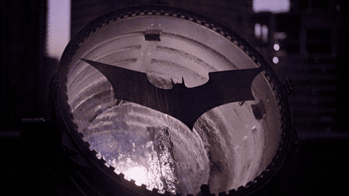 Bat Silhouette Reflected in Glass