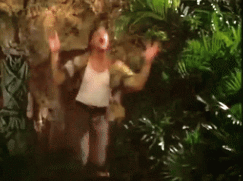 Bat Swarm Ace Ventura Help Me GIF