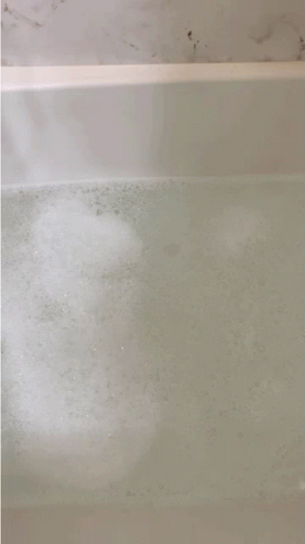 Ice Bear Stuffed Toy Bathtub GIF