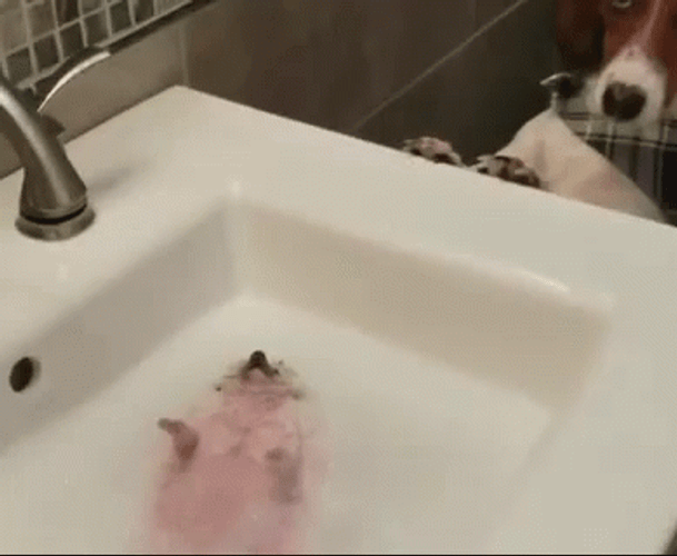Bath GIF