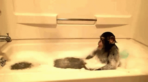 Monkey Bath Time GIF