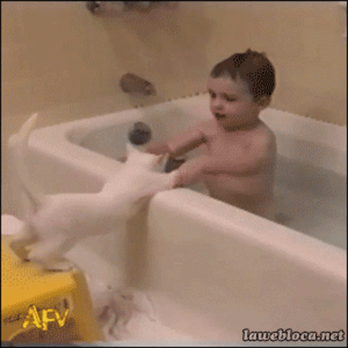Bath 498 X 498 Gif GIF