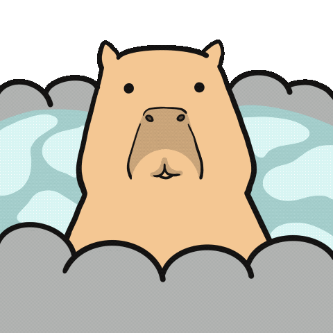 Bath Face Washing Capybara Meme GIF