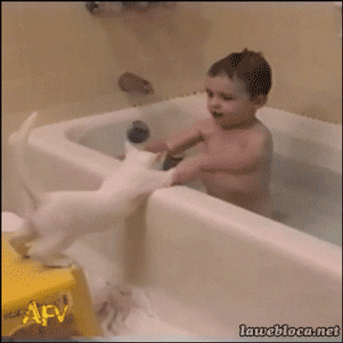 Bath GIF