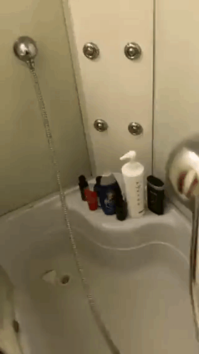 Bathroom Shower and Bathtub Filled with Bottles