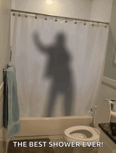 Bathroom Shower Curtain Shadow