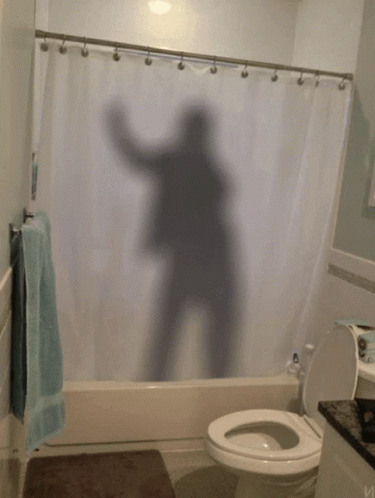 Bathroom Shower Curtain Shadow