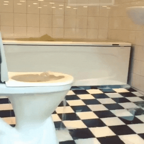 Bathroom Water Overflow GIF
