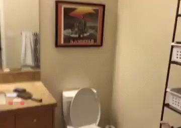 Bathroom With Picture Above Toilet