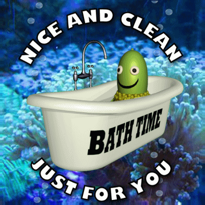 Bathtub Saying Bath Time