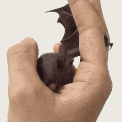 Batman Cartoon Link Hand GIF