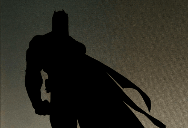 Batman Cartoon Series Show GIF