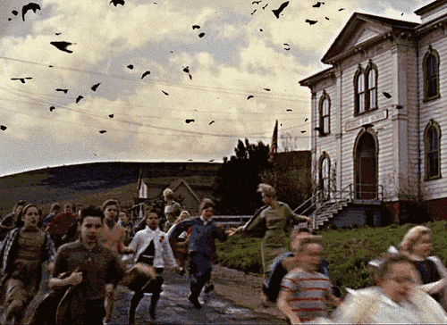 Bats Apocalypse Alfred Hitchcock GIF