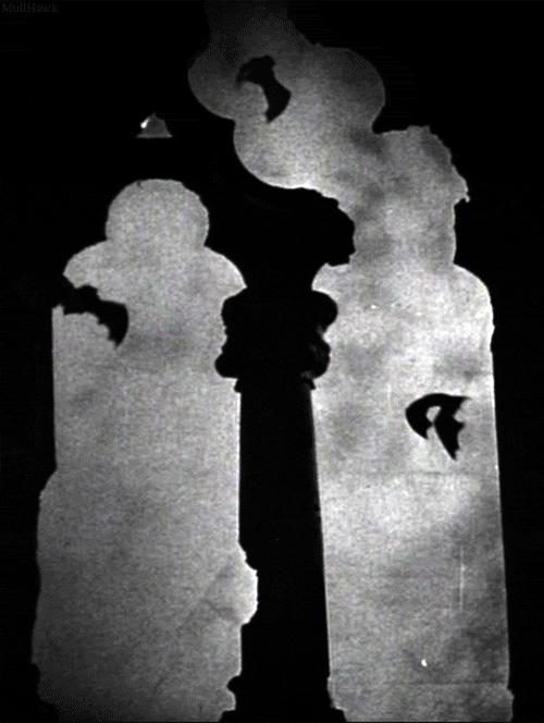 Bats Black And White Vampre GIF