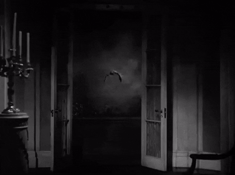 Bats Drive Me Bela Lugosi GIF