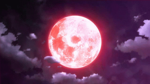 Bats Flying in Front of Red Moon