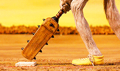 Batsman Getting Ready To Start Cricket GIF
