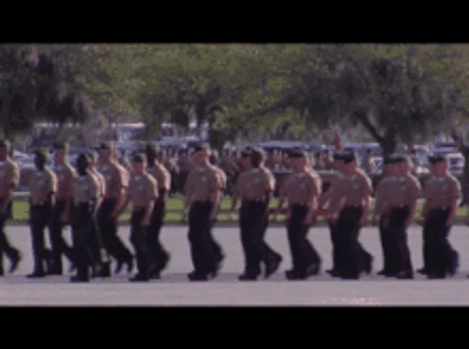 Battalion Parade Salute GIF