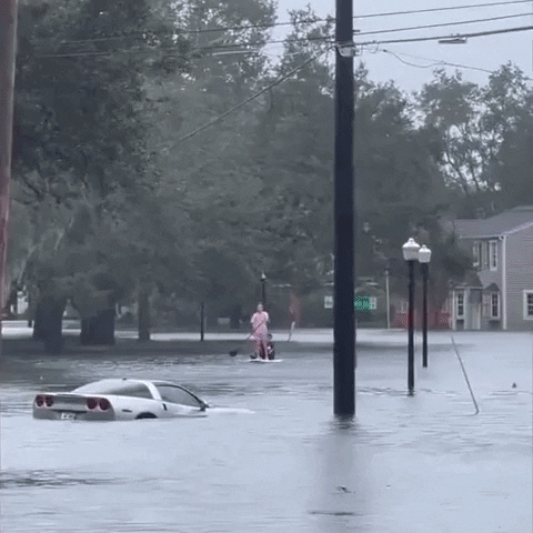Batten Down The Hatches Florida Flood GIF