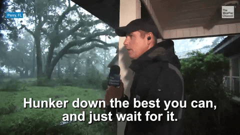 Batten Down The Hatches Hiding Under Roof GIF