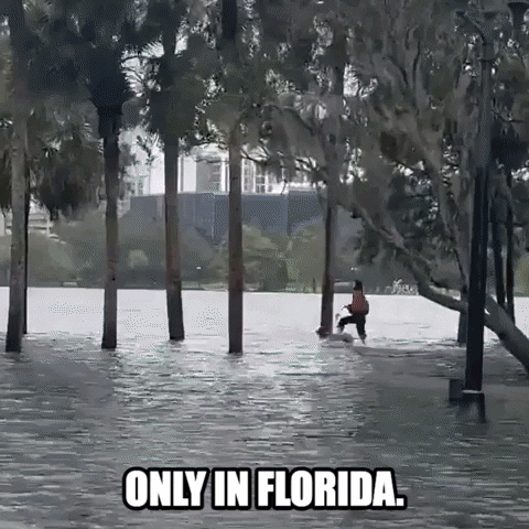 Batten Down The Hatches Jogging In Flood GIF