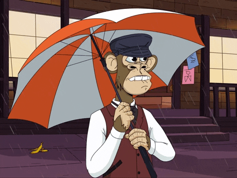 Batten Down The Hatches Monkey Rain GIF