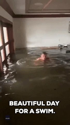 Batten Down The Hatches Swimming In Flood GIF