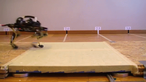Battle Bots Cheetah Club GIF