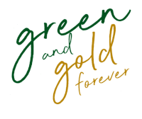 Baylor Bears Sticker GIF