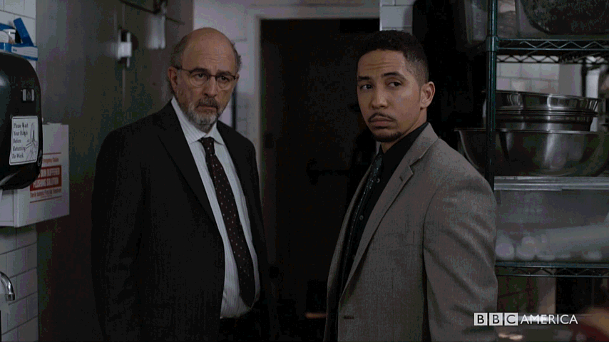 Bbc American Eyebrows Up Pal GIF