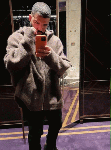 Bbl Drake Mirror Selfie GIF