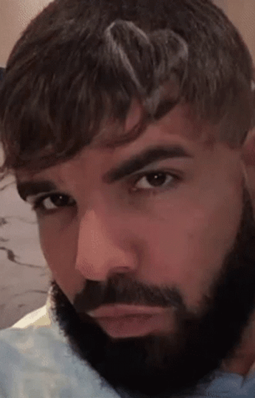 Bbl Drake Heart GIF