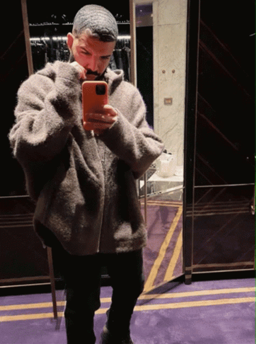 Bbl Drake Mirror Selfie GIF
