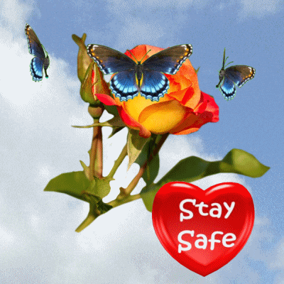 Be Safe Spinning Heart Butterflies GIF