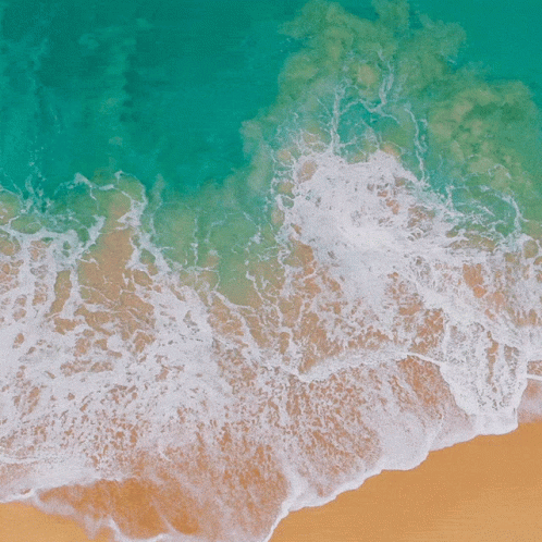 Beach Aerial View With Waves GIF