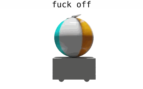 Beach Ball with Propeller and Fuck Off Text