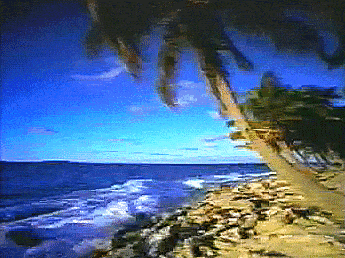 Beach Painting With Palm Trees and Ocean