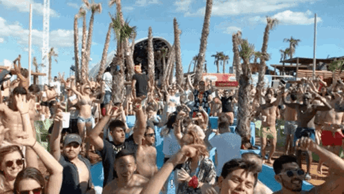 Beach Party Crowd with Palm Trees