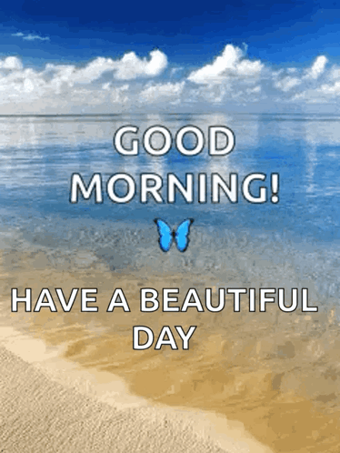 Beach Scene With Butterfly and Good Morning