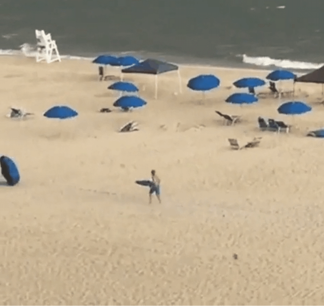 Beach Umbrellas Driven Away GIF