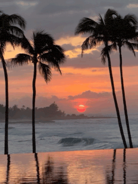 Beach Vacation Beach Day Gif GIF