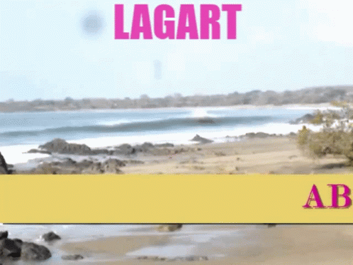 Beach With Lagart