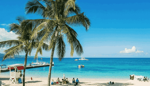 Beach With Palm Trees and Lifeguard Tower