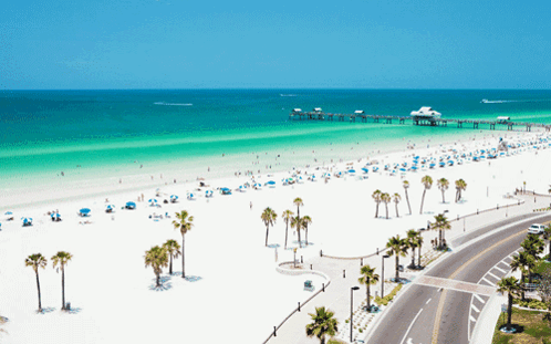 Beach with Palm Trees and Pier
