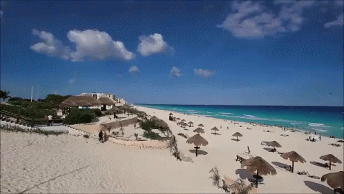 Beach With Umbrellas And Chairs GIF