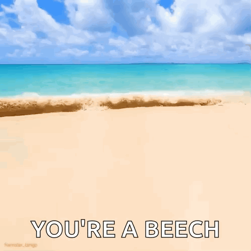 Beach With Youre a Beech